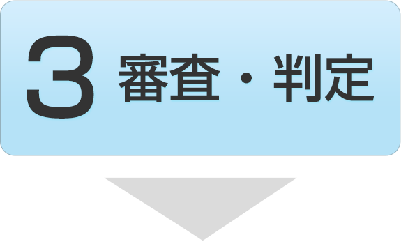 3 審査・判定