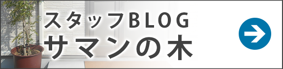 スタッフブログ　サマンの木