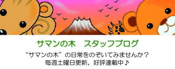 サマンの木　スタッフブログ