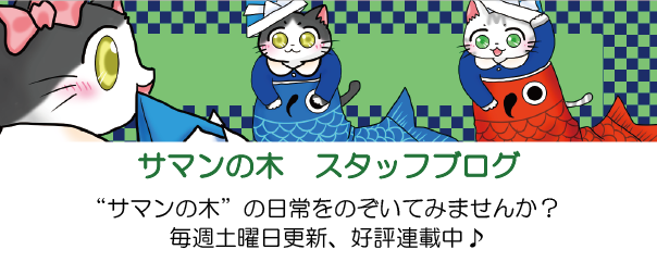 サマンの木　スタッフブログ