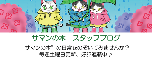 サマンの木　スタッフブログ