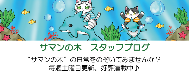 サマンの木　スタッフブログ