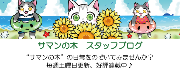 サマンの木　スタッフブログ