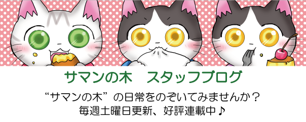 サマンの木　スタッフブログ