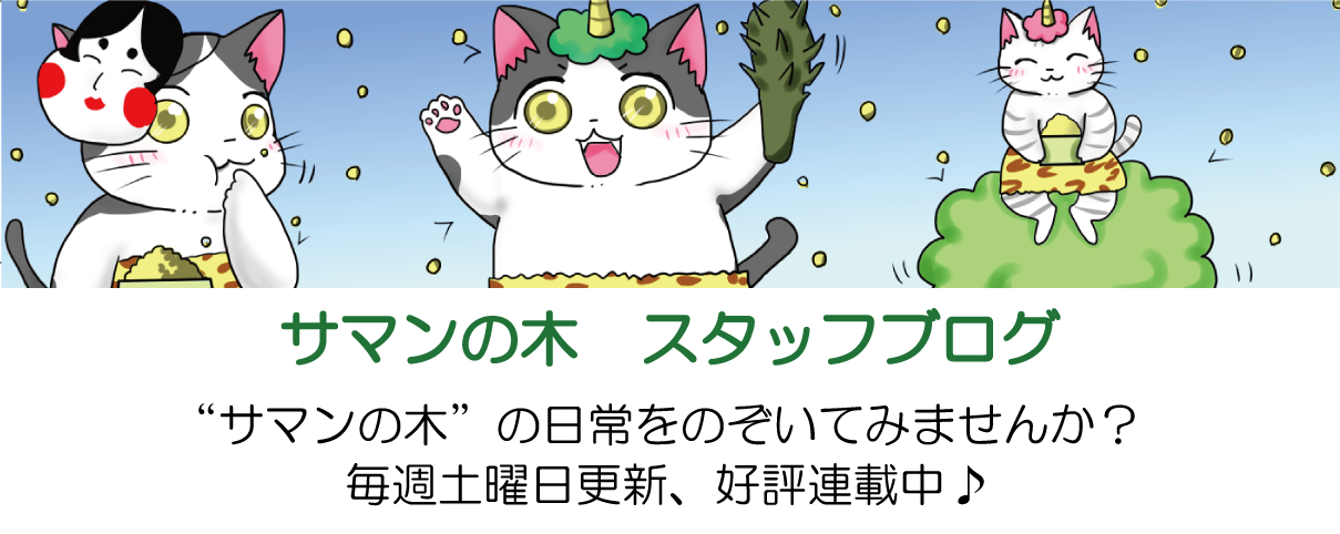 サマンの木　スタッフブログ