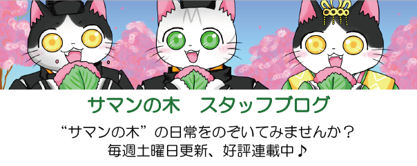 サマンの木　スタッフブログ