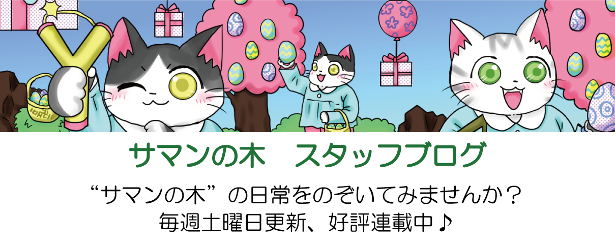 サマンの木　スタッフブログ
