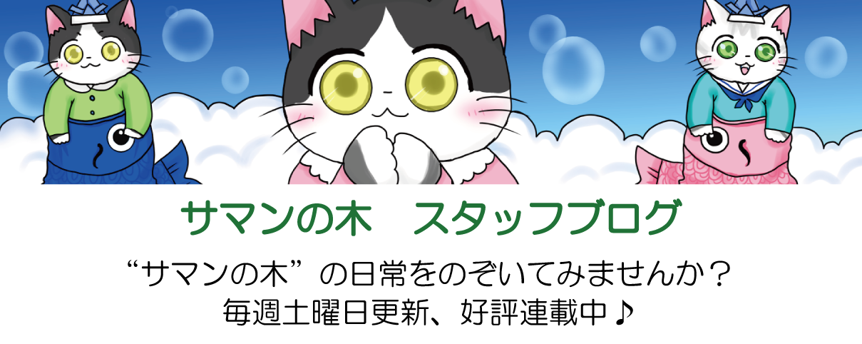 サマンの木　スタッフブログ