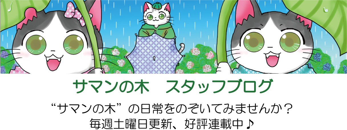 サマンの木　スタッフブログ