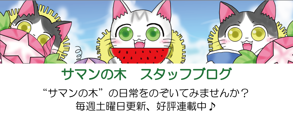 サマンの木　スタッフブログ