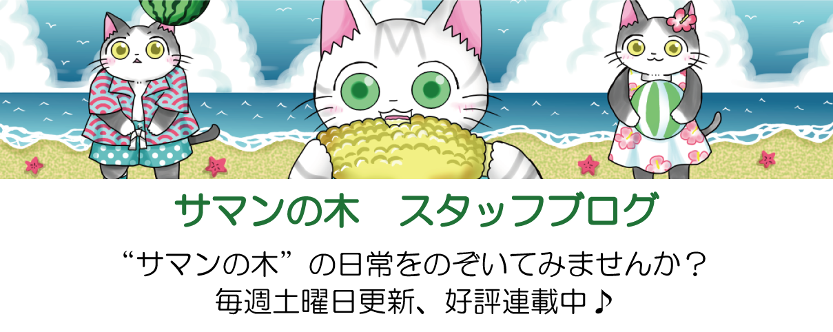 サマンの木　スタッフブログ