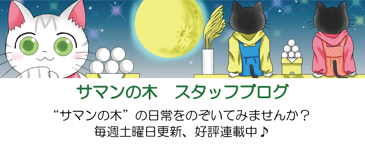 サマンの木　スタッフブログ